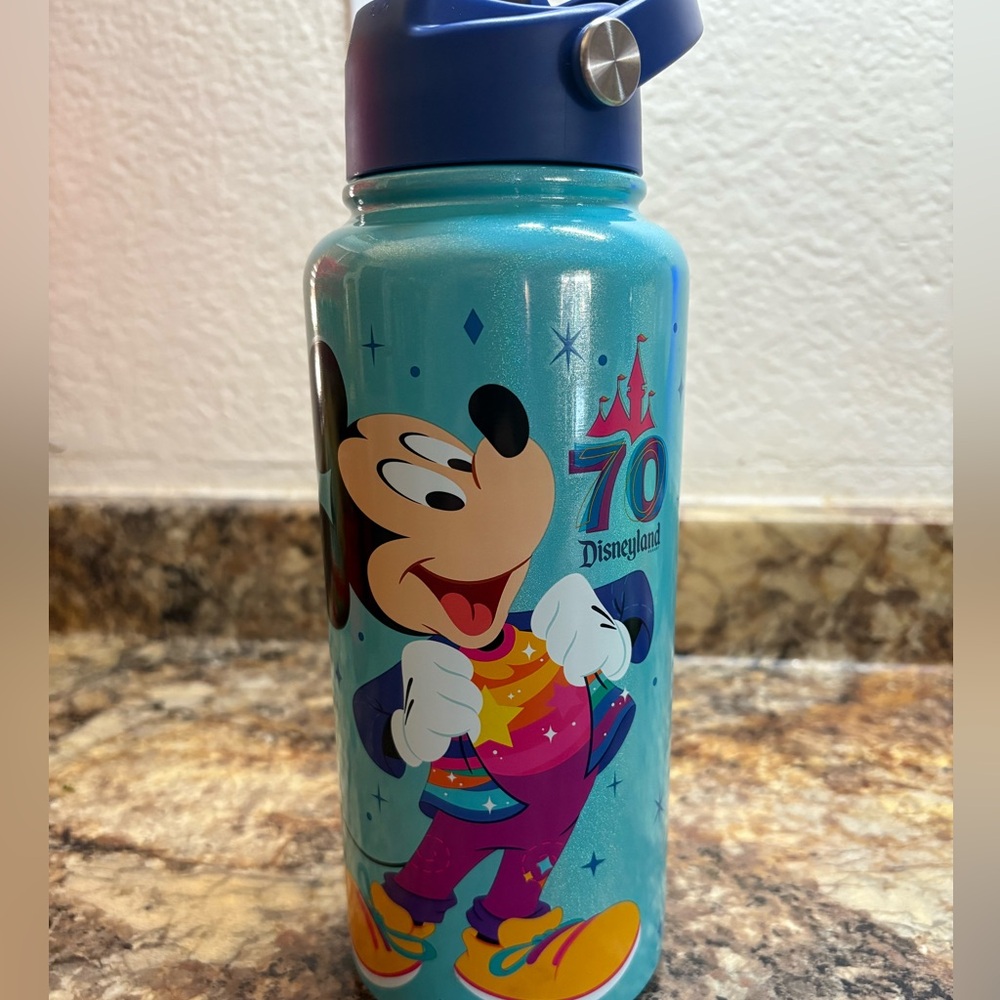 Disneyland 70th Anniversary Water Bottle